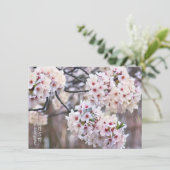 Yoshino Cherry Karte (Stehend Vorderseite)