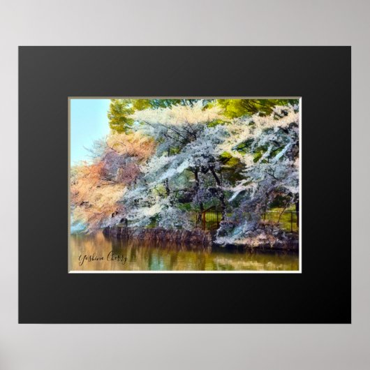 Yoshino Cherry Poster (Vorne)