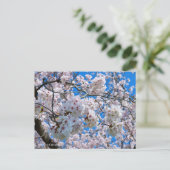 Yoshino Cherry Postkarte (Stehend Vorderseite)