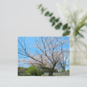 Yoshino Cherry Postkarte (Stehend Vorderseite)