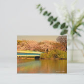 Yoshino Cherry Postkarte (Stehend Vorderseite)