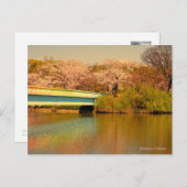 Yoshino Cherry Postkarte (Vorne/Hinten)