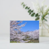 Yoshino Cherry Postkarte (Stehend Vorderseite)