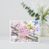 Yoshino Cherry Postkarte (Stehend Vorderseite)