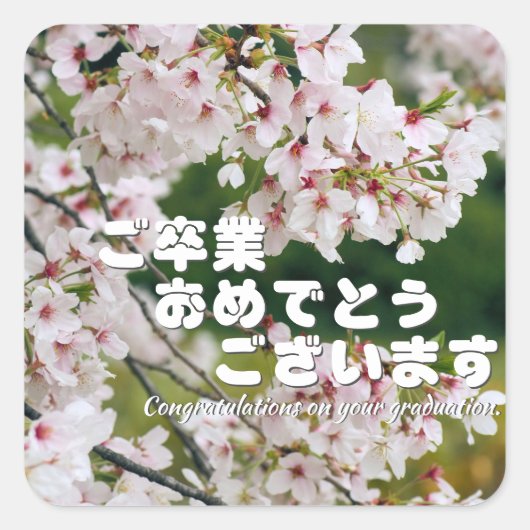 Yoshino Cherry Quadratischer Aufkleber (Vorderseite)