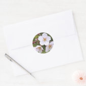 Yoshino Cherry:Seal Runder Aufkleber (Umschlag)