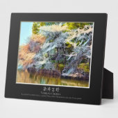 Yoshino-Kirsche Fotoplatte (Seite)