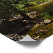 Yosimite-Sentinalbrücken-Poster AB 14,95 Poster (Ecke)