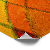 Yossef-Joseph Poster (Ecke)