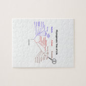 You Are Here Phylogenetic Tree Of Life Puzzle (Horizontal)