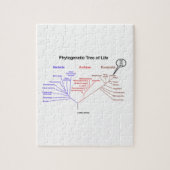 You Are Here Phylogenetic Tree Of Life Puzzle (Vertikal)