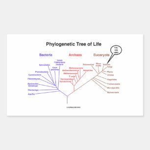 You Are Here Phylogenetic Tree Of Life Rechteckiger Aufkleber