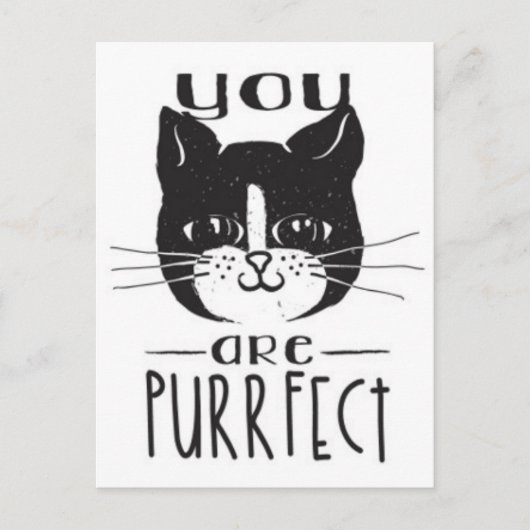 You Are Purrfect Postkarte (Vorderseite)