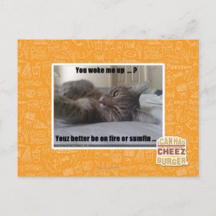 You woke me up postkarte