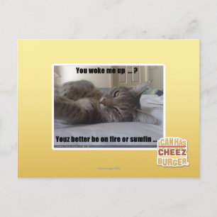 You woke me up postkarte