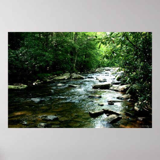 Youghiogheny River Print Poster (Vorne)