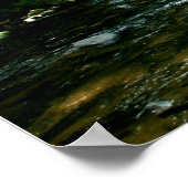 Youghiogheny River Print Poster (Ecke)