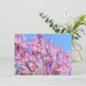 Youkou Cherry: Flat Card (Stehend Vorderseite)