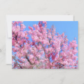 Youkou Cherry: Flat Card (Vorderseite)