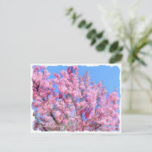 Youkou Cherry Postkarte (Stehend Vorderseite)