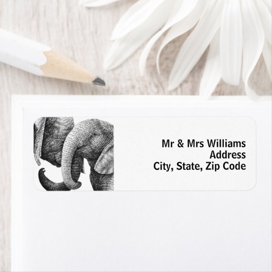 Young African Elephants (Insitu)