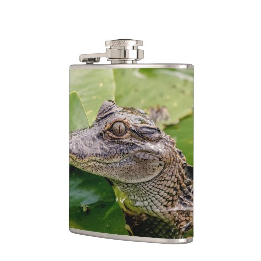 Young Alligator Flachmann (Links)