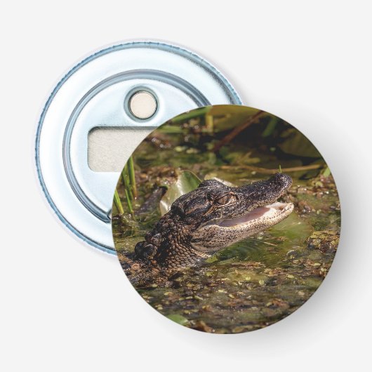 Young Alligator Flaschenöffner (Vorderseite)