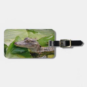 Young Alligator Gepäckanhänger