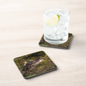 Young Alligator Getränkeuntersetzer (Rechte Seite)