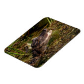 Young Alligator Magnet (Linke Seite)