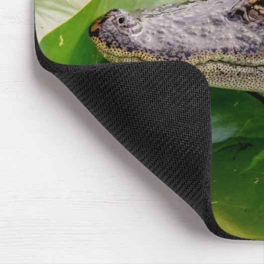 Young Alligator Mousepad (Ecke)
