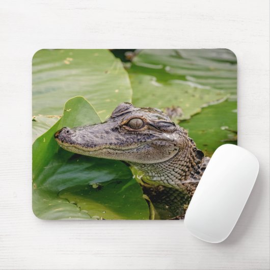 Young Alligator Mousepad (Mit Mouse)