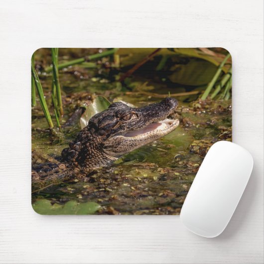 Young Alligator Mousepad (Mit Mouse)