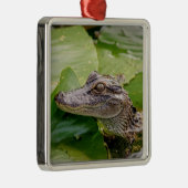 Young Alligator Ornament Aus Metall (Rechts)
