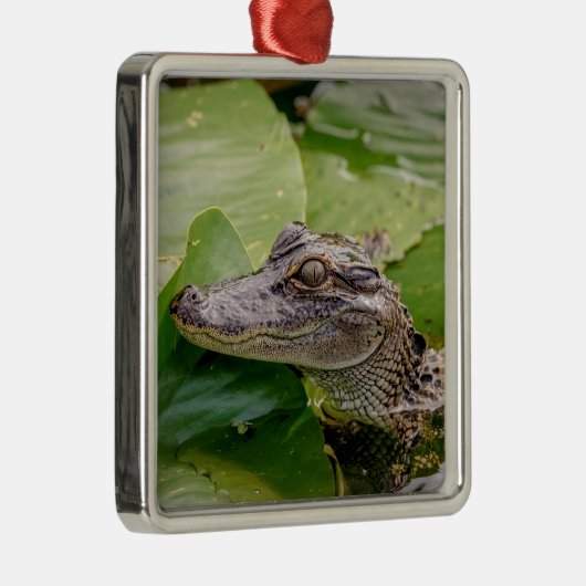 Young Alligator Ornament Aus Metall (Rechts)