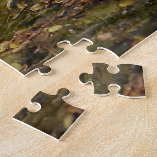 Young Alligator Puzzle (Seite)