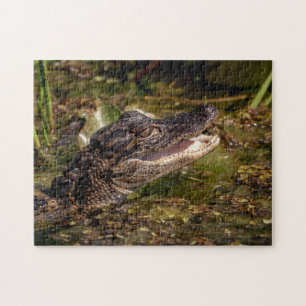 Young Alligator Puzzle