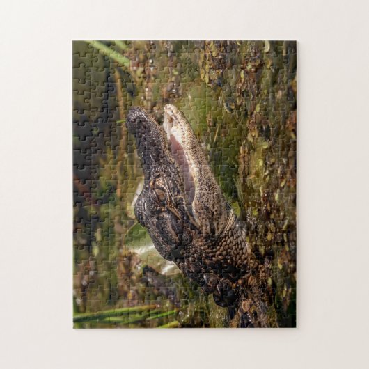 Young Alligator Puzzle (Vertikal)