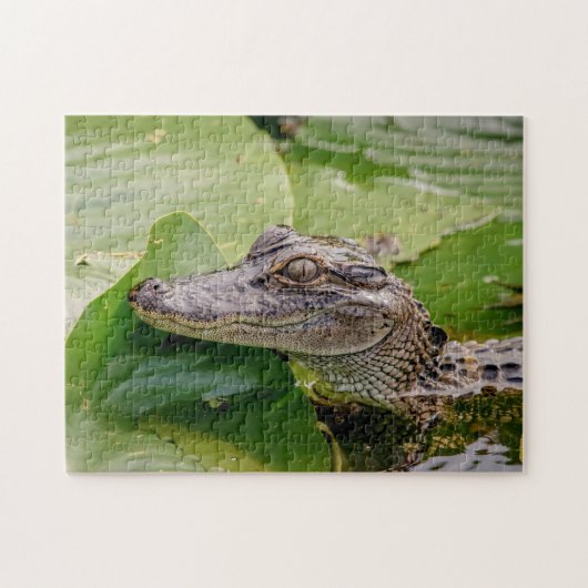 Young Alligator Puzzle (Horizontal)