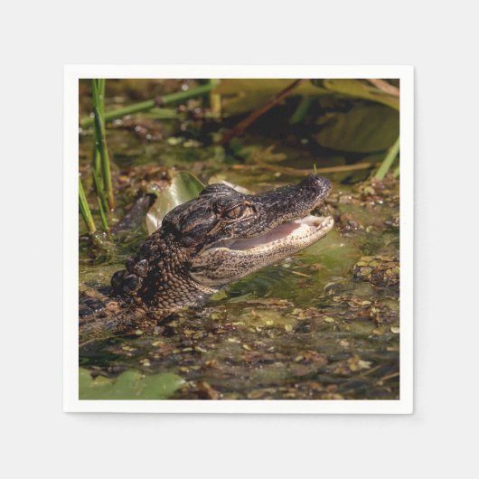 Young Alligator Serviette (Vorderseite)