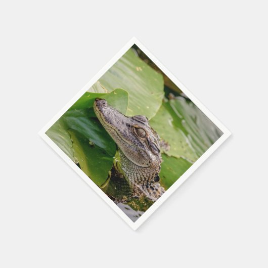 Young Alligator Serviette (Ecke)