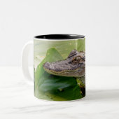 Young Alligator Zweifarbige Tasse (Vorderseite Links)