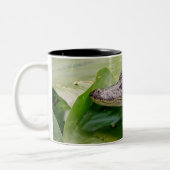 Young Alligator Zweifarbige Tasse (Links)
