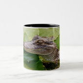 Young Alligator Zweifarbige Tasse (Mittel)