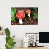 Young Amanita muscaria Poster (Heimbüro)