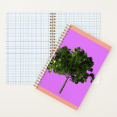 Young Ash Tree Notizblock (Innen)