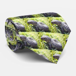 Young Australian Blue Tongue Lizard, Krawatte