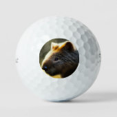 Young Australian Wombat, Golf Balls Golfball (Vorderseite)