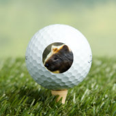Young Australian Wombat, Golf Balls Golfball (Insitu T-Shirt)
