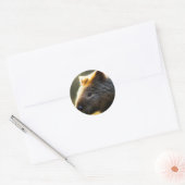 Young Australian Wombat, Stickers (Umschlag)